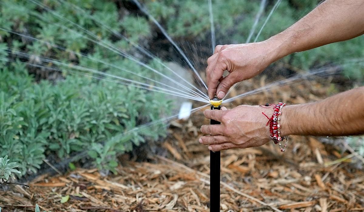 Comprehensive Irrigation for California Native Plants with Tim Becker