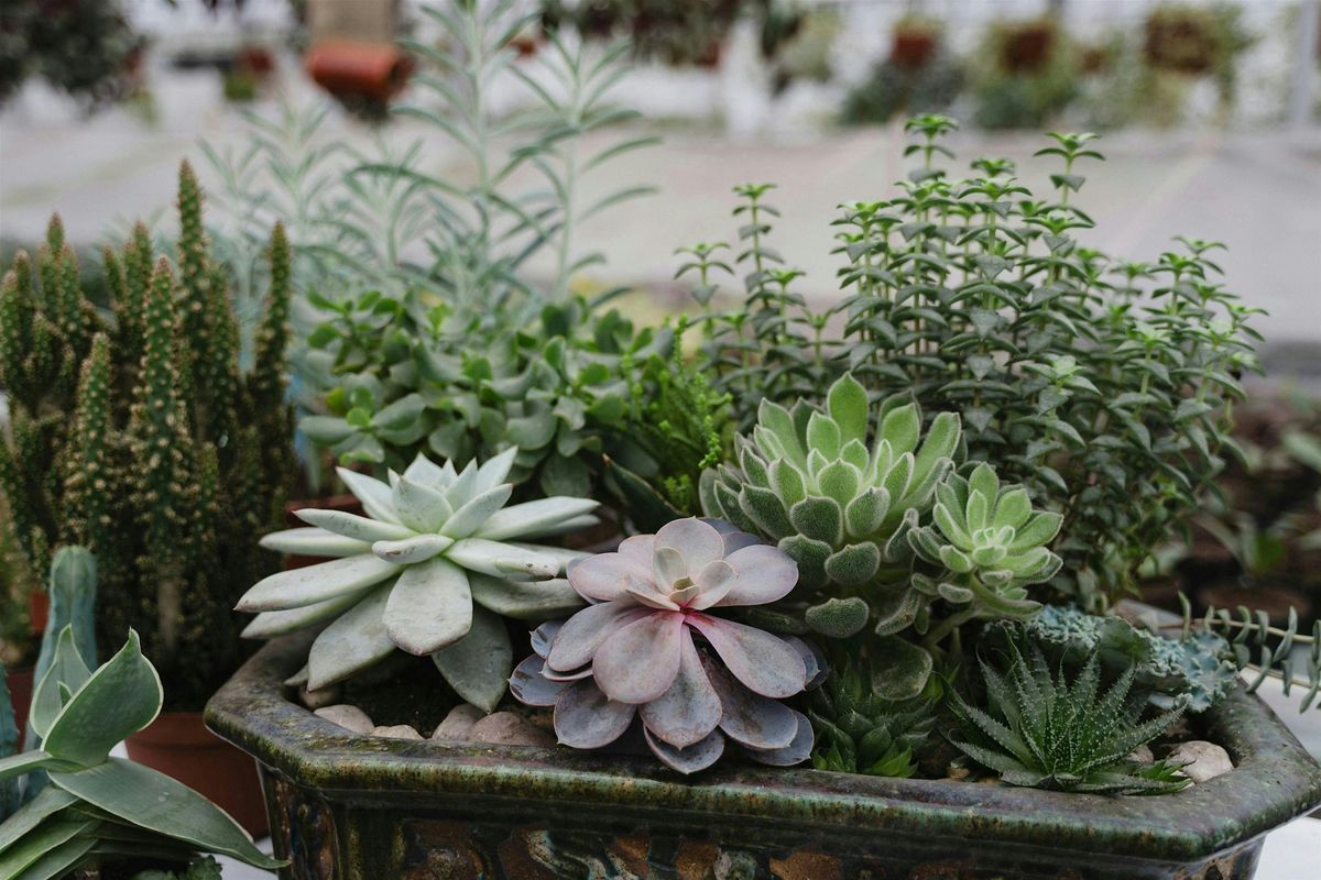 Spooky Succulent Garden Workshop