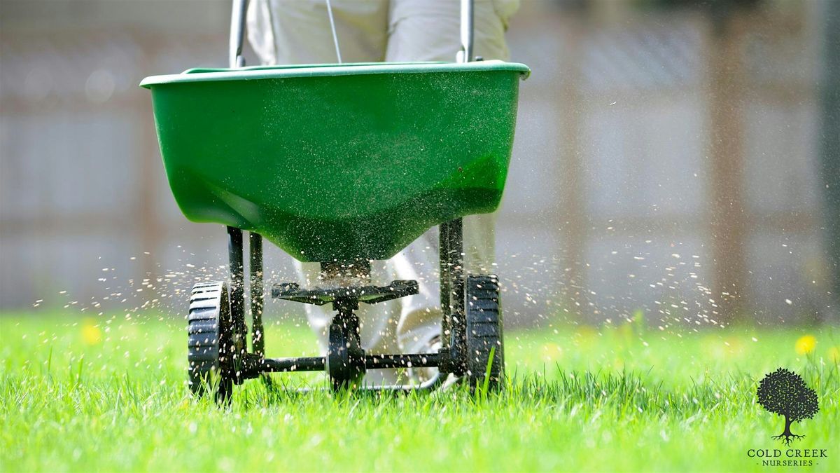 Winterizing Your Lawn and Overseeding with Winter Rye