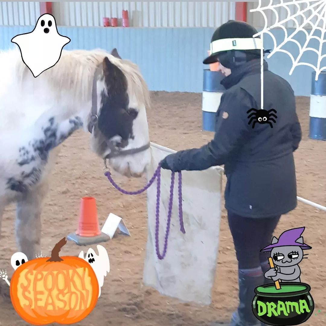 Spooky Horse Agility Clinic