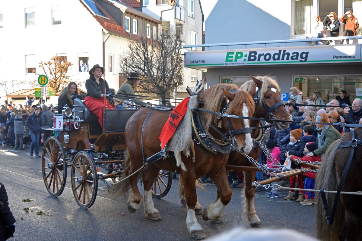 Festumzug Gaildorfer Pferdemarkt