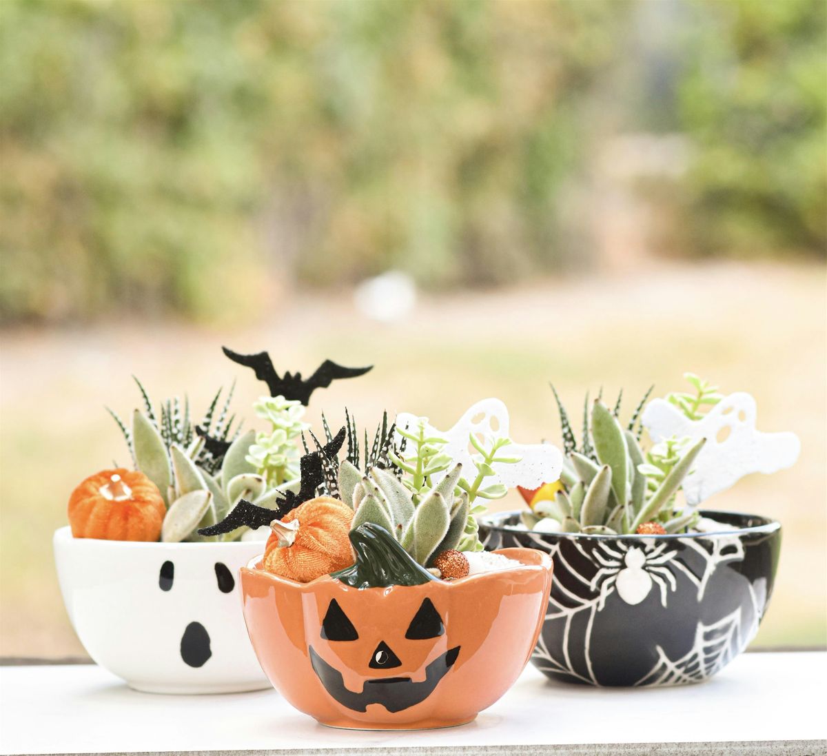 Succulents & Brews: Halloween Succulent Arrangement Class