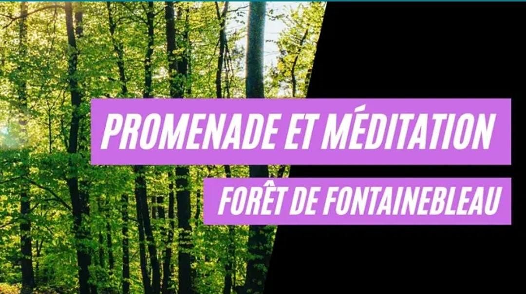 Fontainebleau, Promenade, M\u00e9ditation et Partage dans la For\u00eat