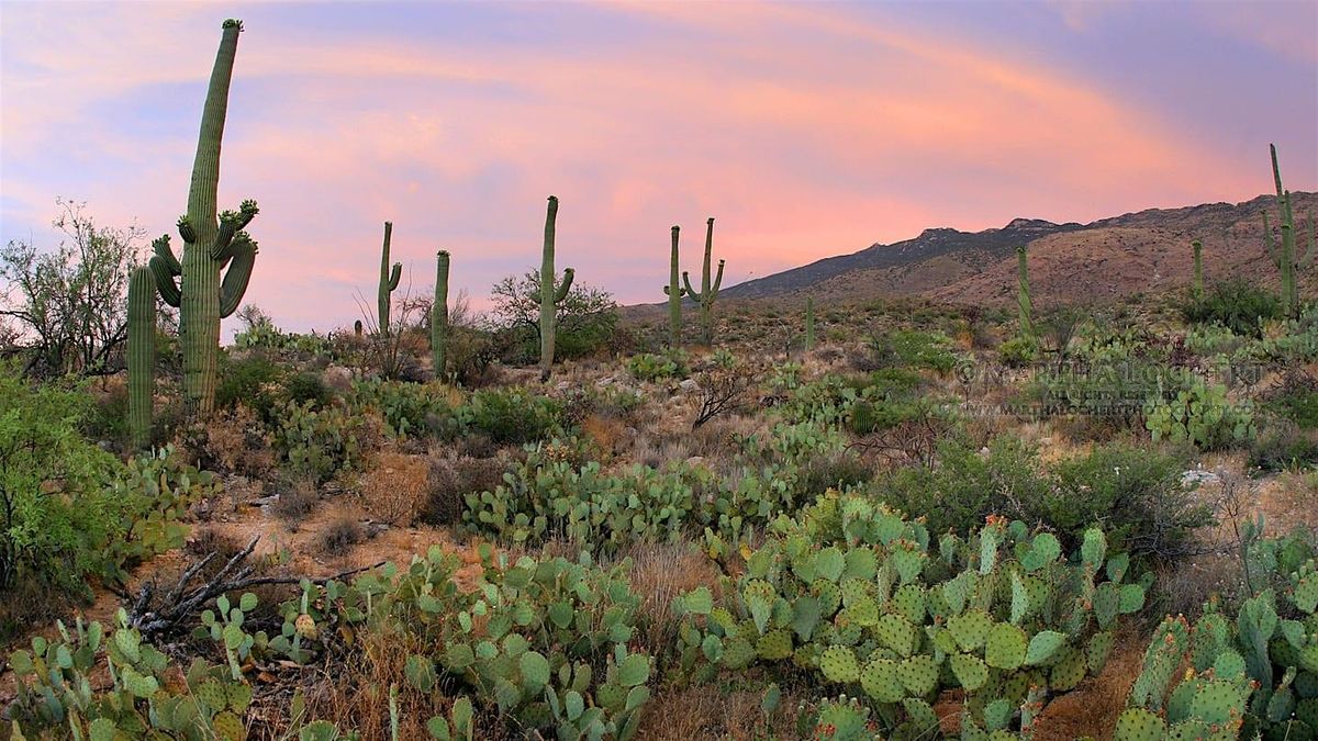 Master Your Camera Controls and Composition in the Field - Photo Workshops