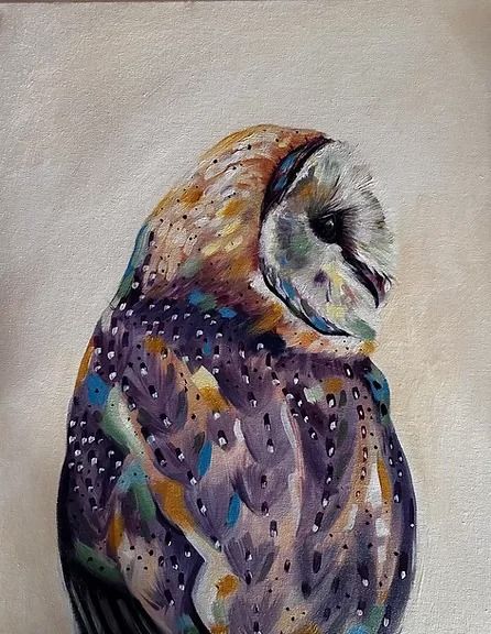 Barn Owl in acrylic