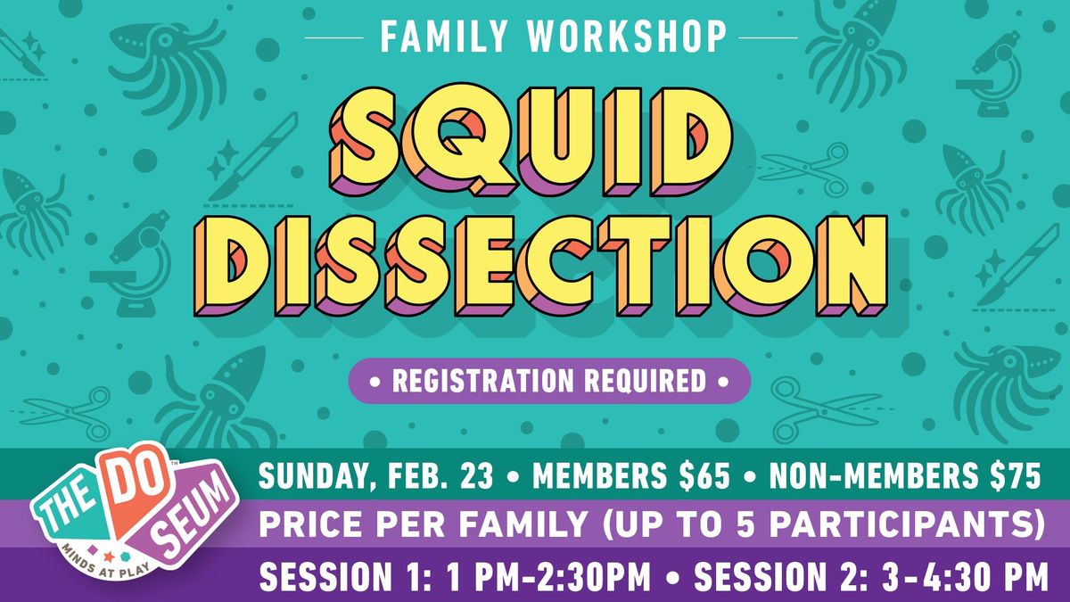 Squid Dissections