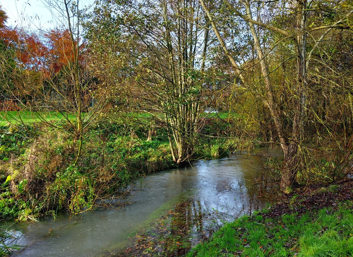 Mindful Walk - September