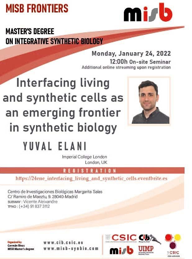 Interfacing living  and synthetic cells as  an emerging frontier