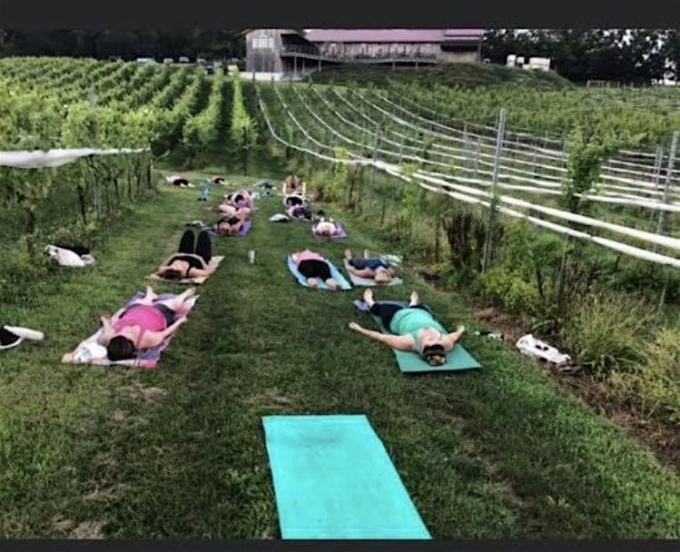 Picture of Yoga in the Vineyard, Grandview Vineyard, Mount Joy, 9 May 2024