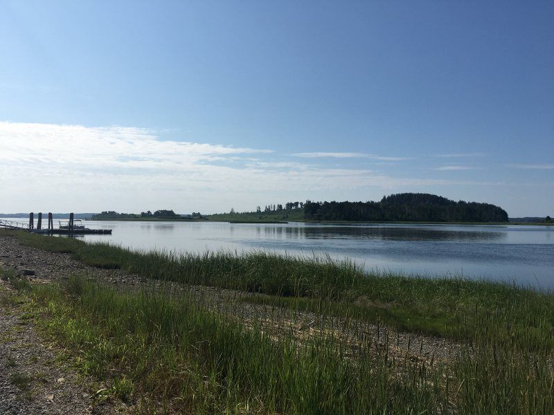 CraneExplorer: Animals in the Estuary