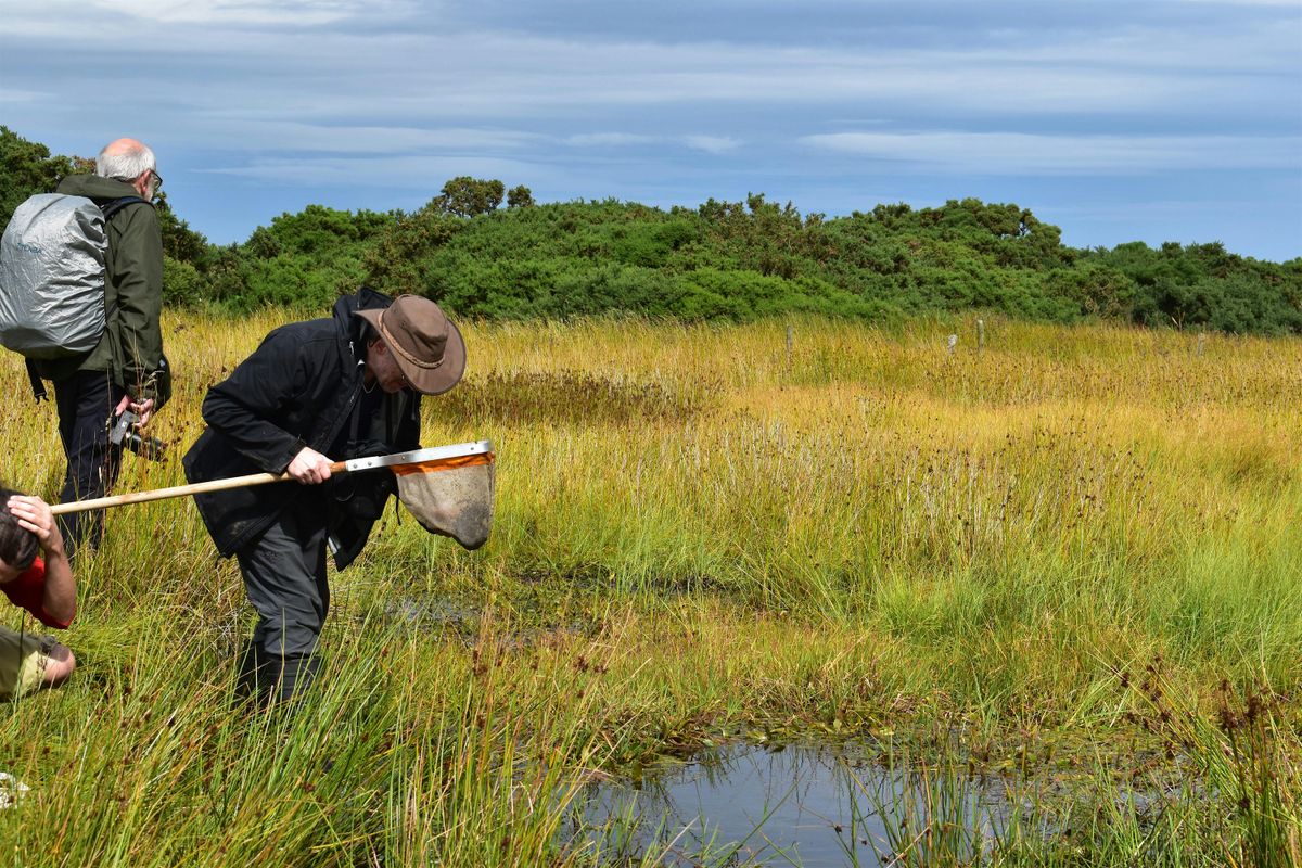 Volunteer Day - Pond Creation for Dragonflies