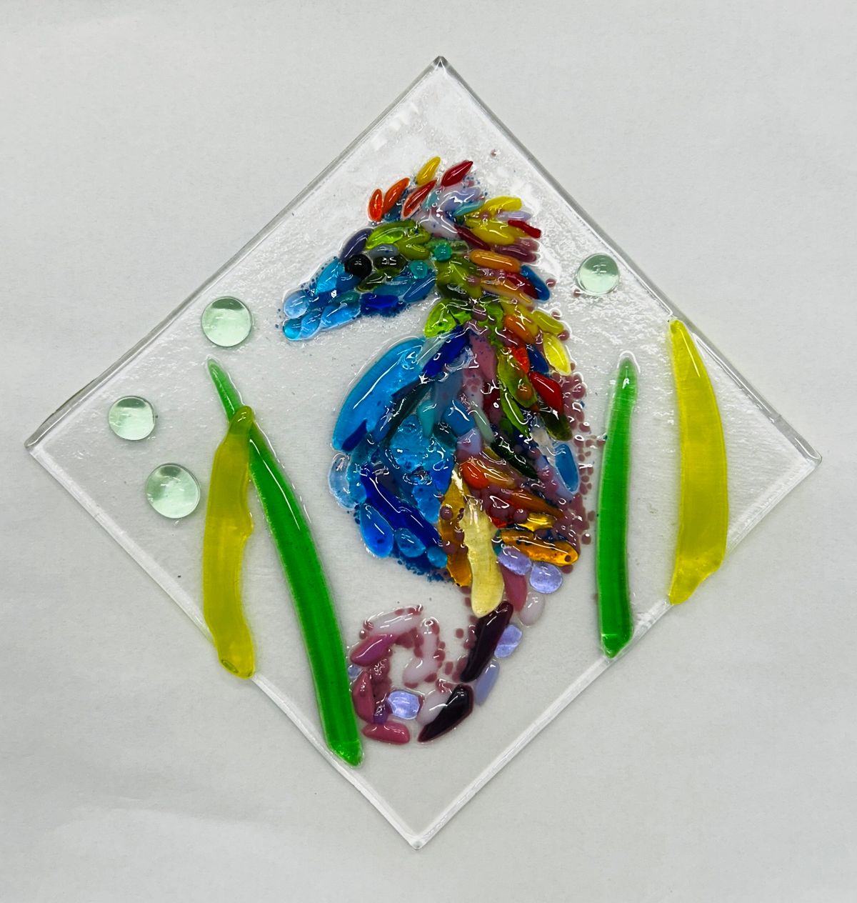 Seahorse Glass Shard Class