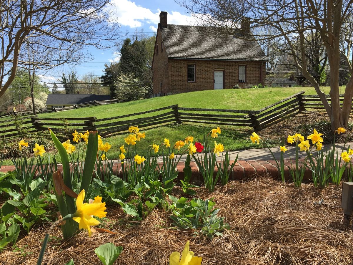 Gardens and Flowers in the Historical Park