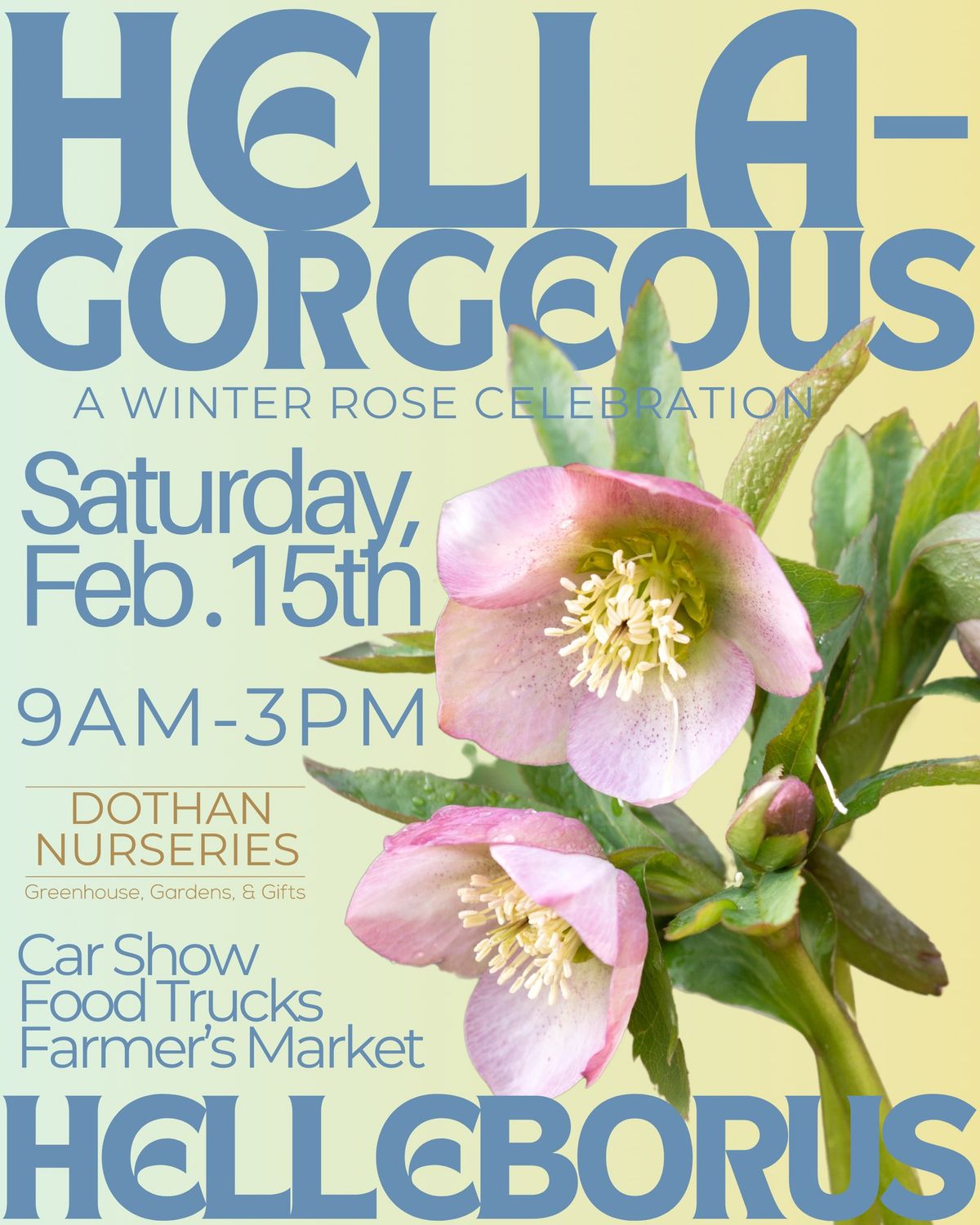  Hella-Gorgeous Helleborus: The Winter Rose Celebration!\ud83c\udf1f