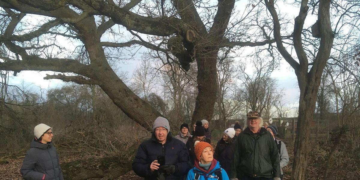 Adult Winter Tree and Shrub Identification, Sutton Courtenay, Saturday 22 February