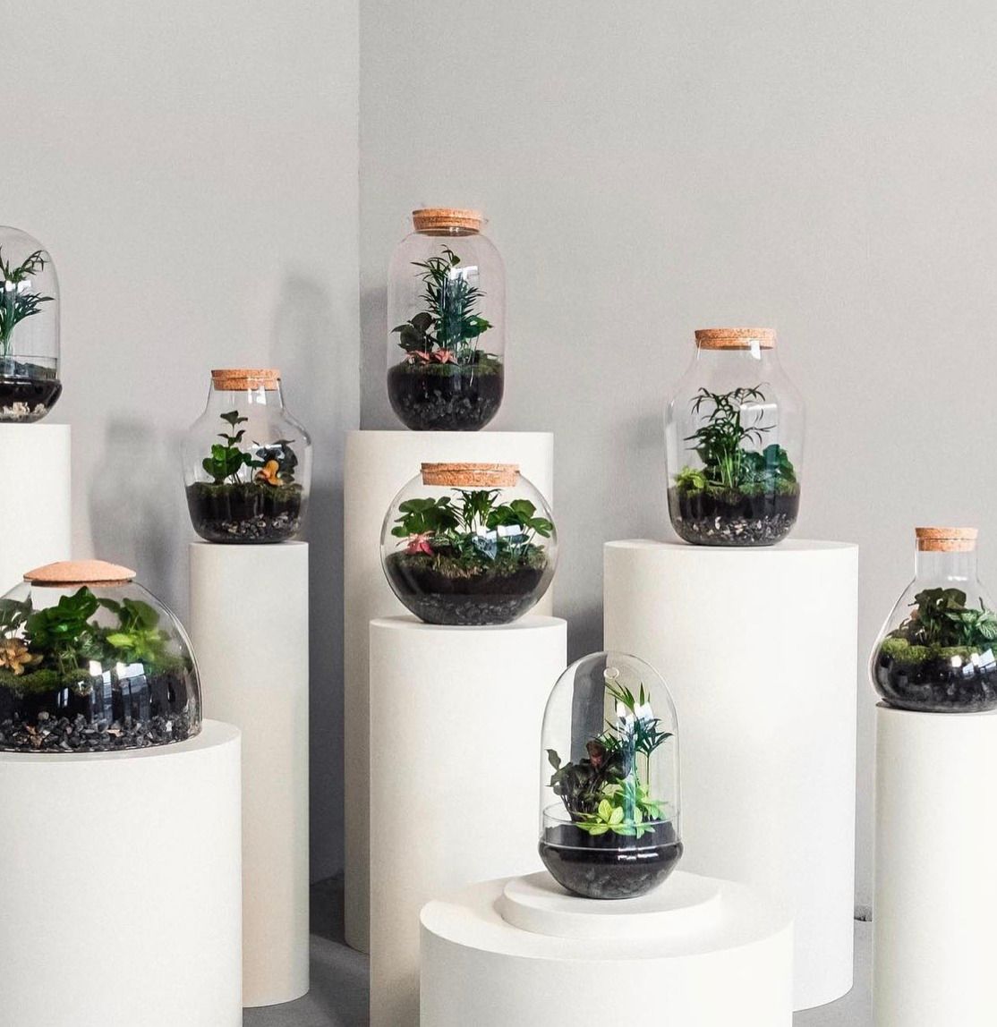 Terrarium workshop 3 december