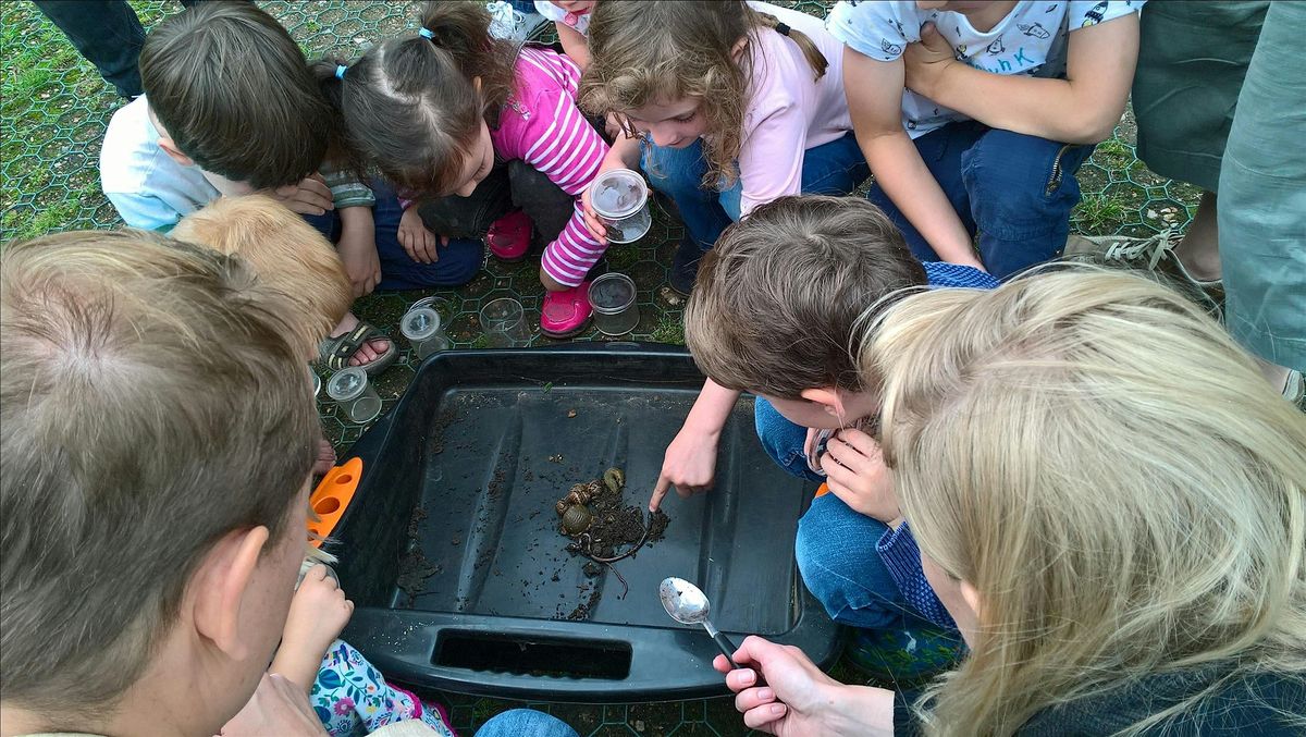 Family Wildlife Discovery at the Centre for Wildlife Gardening