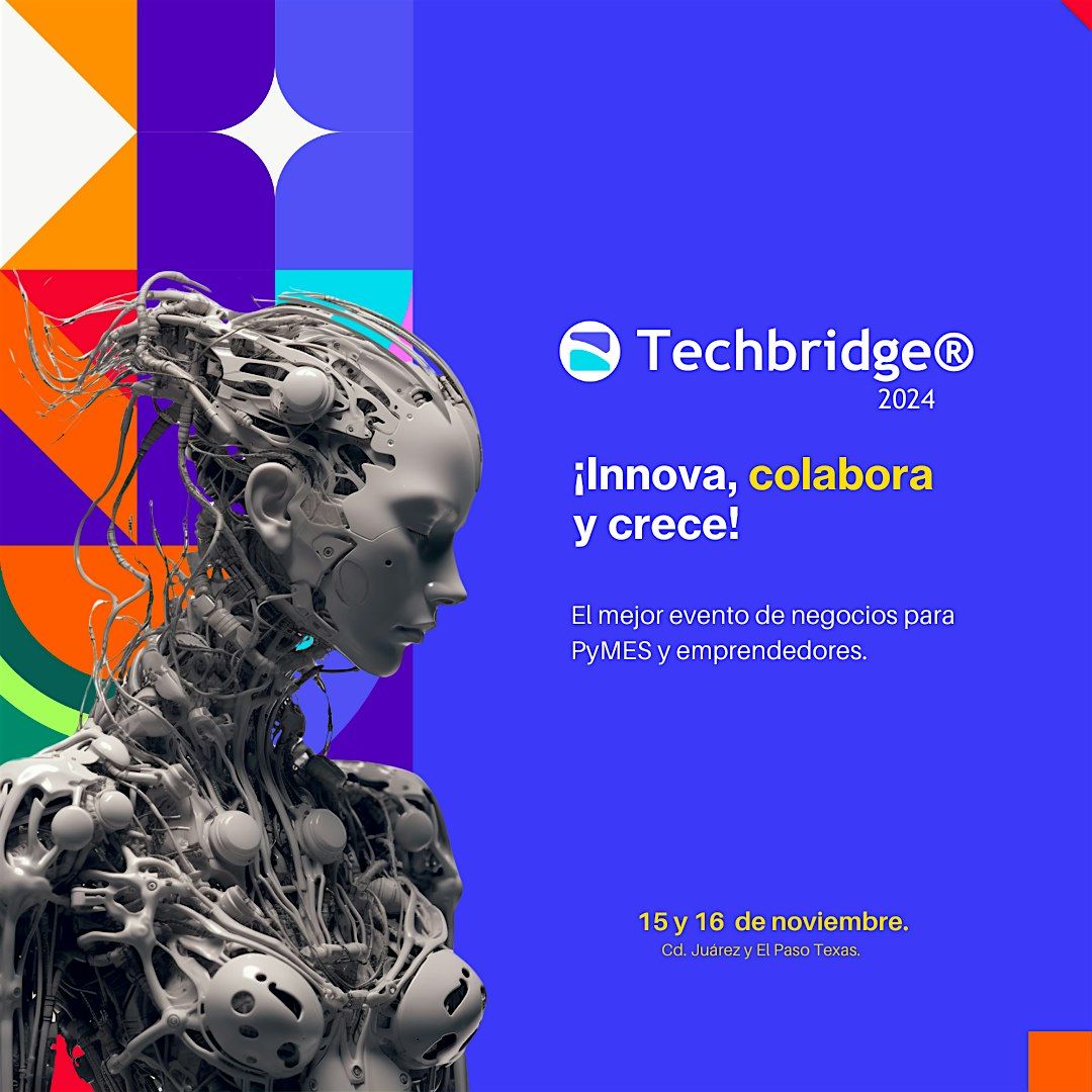 Techbridge 2024