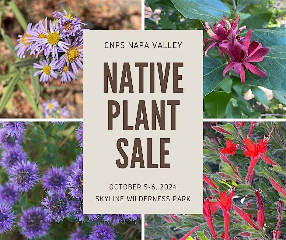 Fall 2024 California Native Plant Sale!