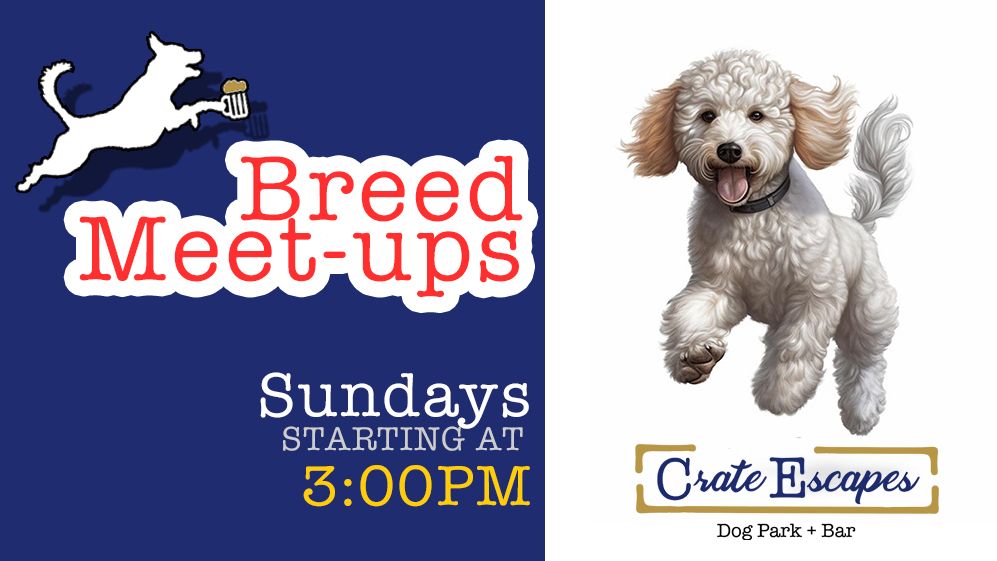 Breed Meet-ups