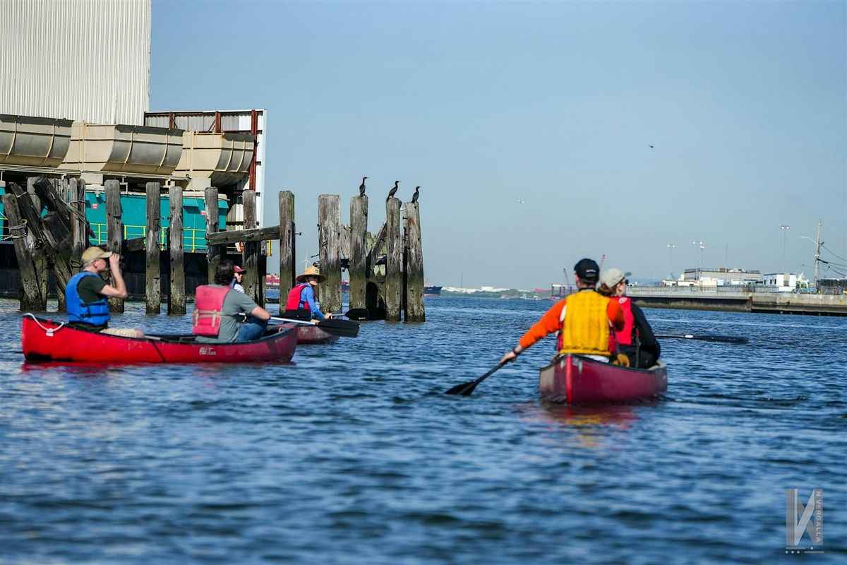 Birding By Canoe with the Gowanus Dredgers and Local Nature Lab