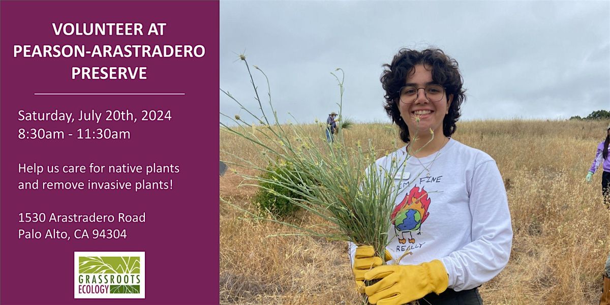 Volunteer Outdoors in Palo Alto at Pearson-Arastradero Preserve