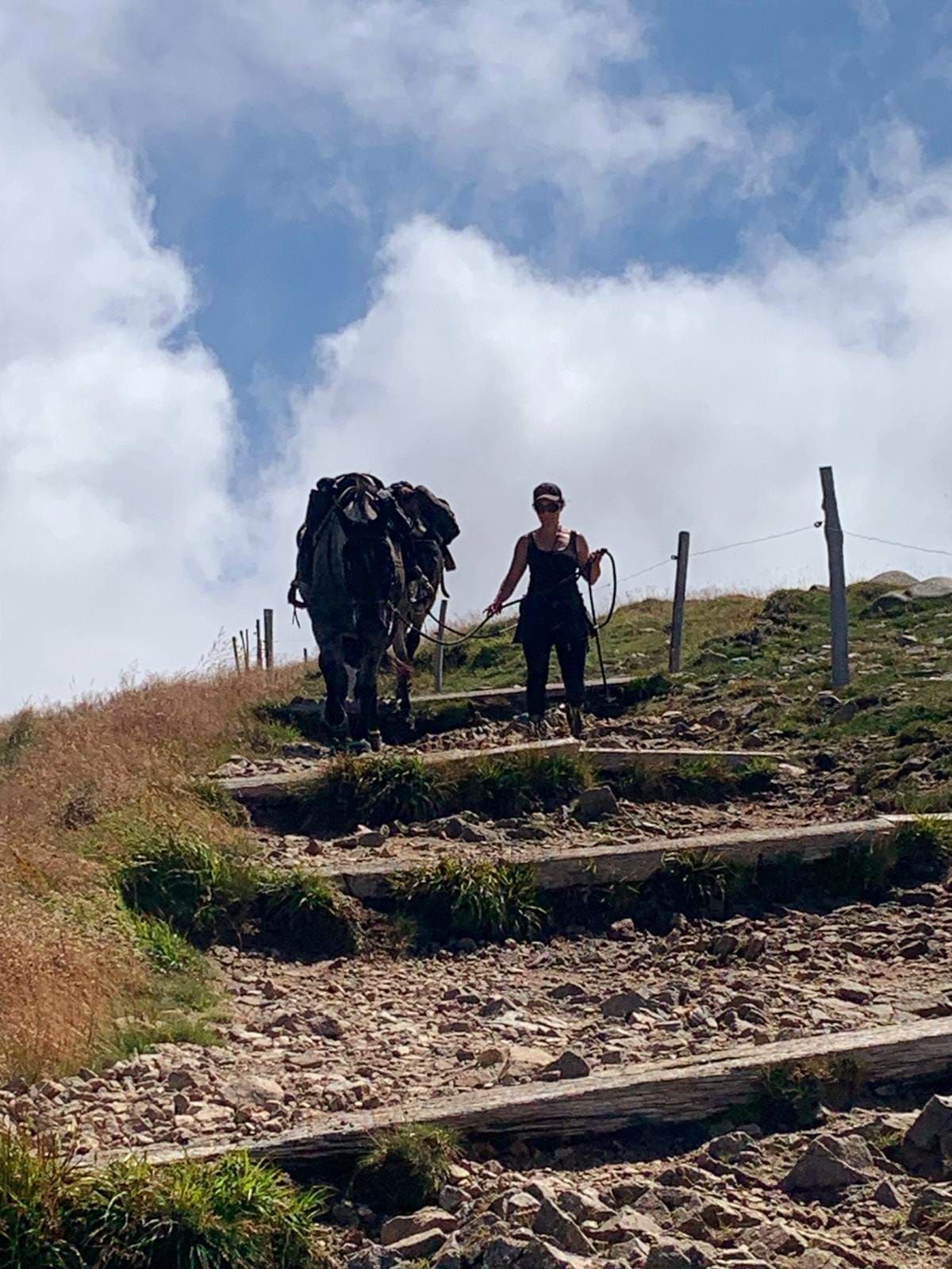 Hochvogesen Trail 