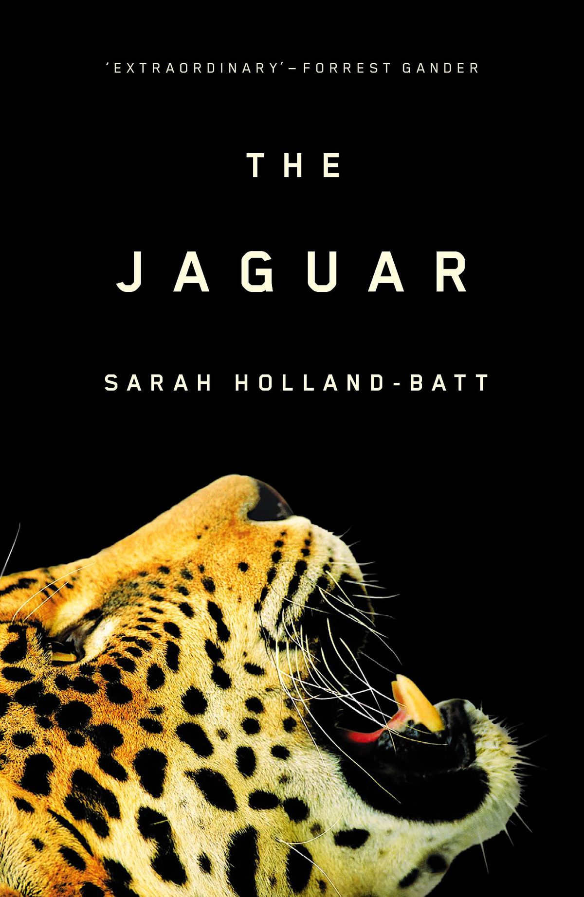 Texta book club: The Jaguar