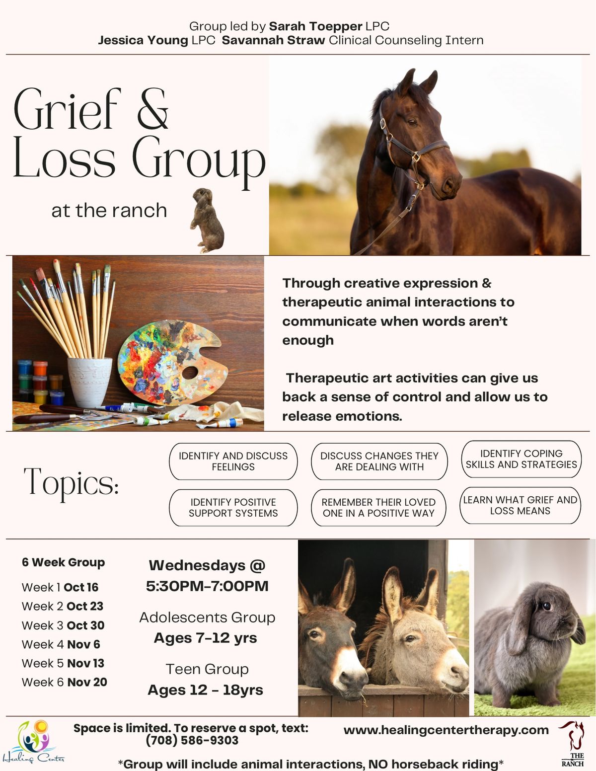 Grief and Loss Group