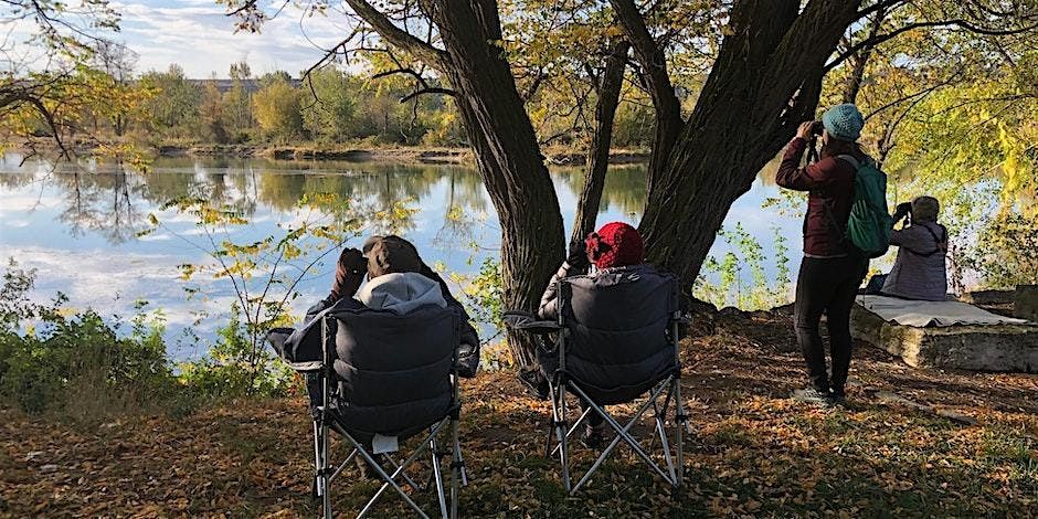 Pause, Look, & Listen: Idaho Shakespeare Festival Grounds