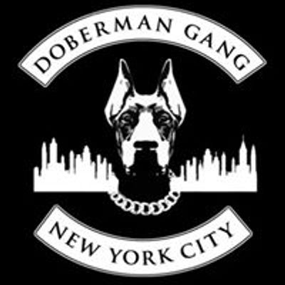 The Doberman Gang of NYC