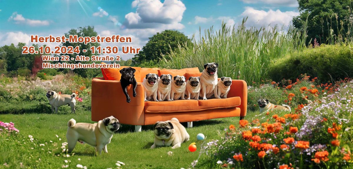 Mops- und Bullytreffen mit Jux-Turnier!