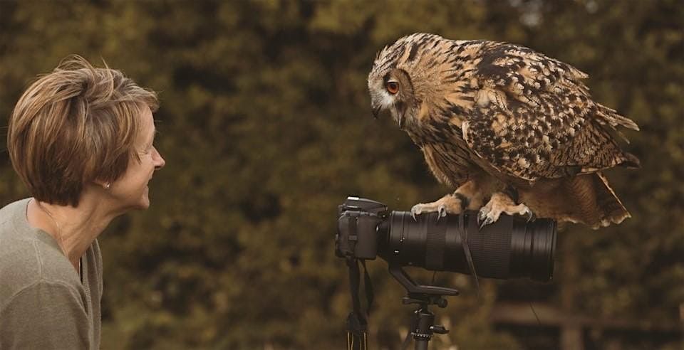 Photographing Falconry  Workshop