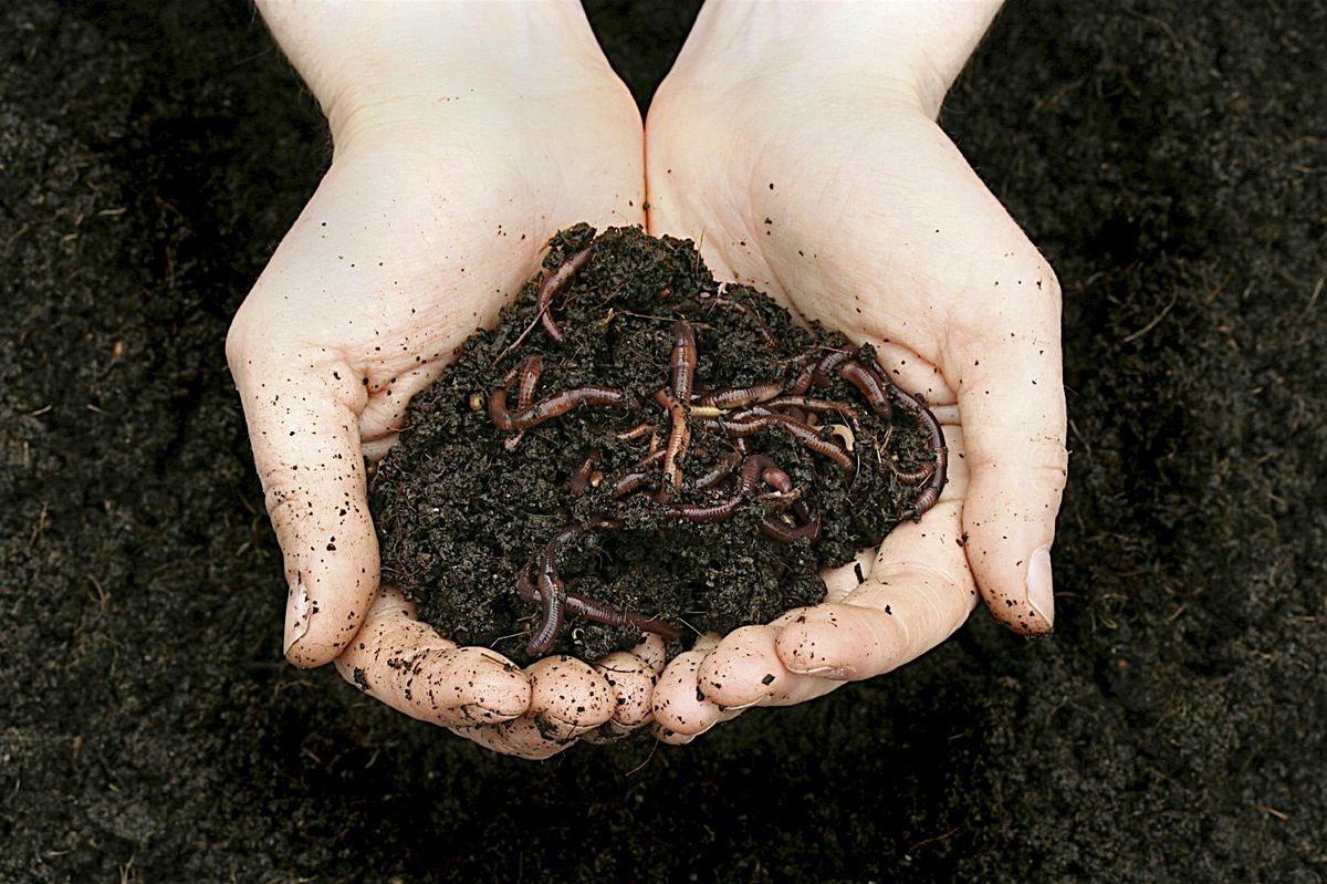 Learning For Life - Composting and Worm Farming