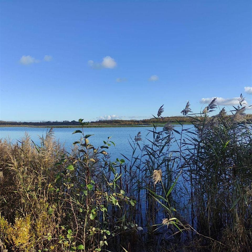 Experience Community  RSPB St  Aidan's Nature Reserve