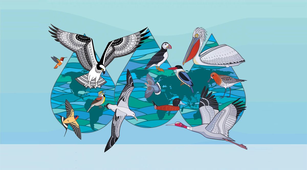City of Vaughan World Migratory Bird Day Event