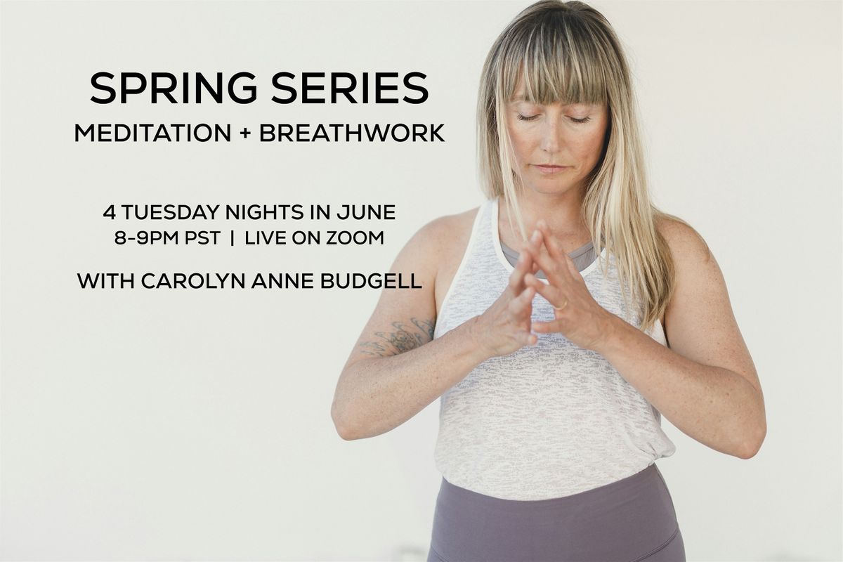Spring Series:  Breathwork + Meditation (VIRTUAL)