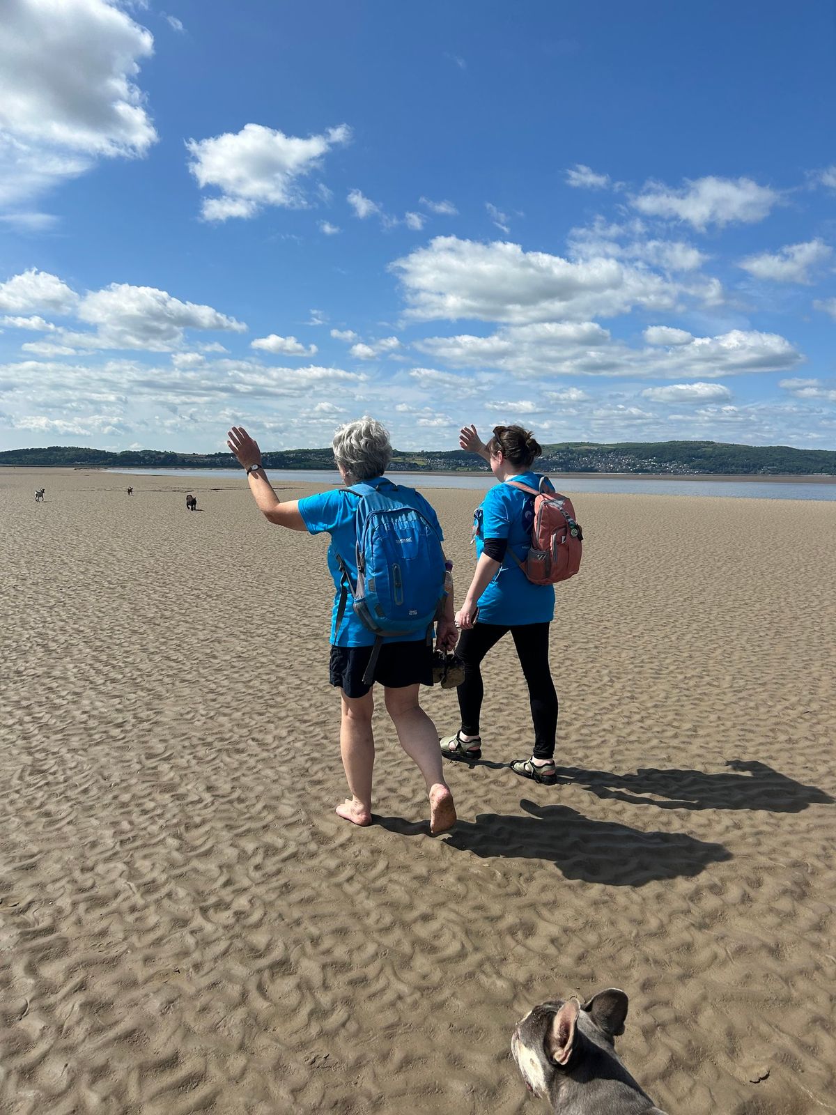 Morecambe Bay walk, Arnside to Grange-over-Sands