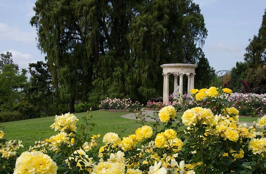 SAVE THE DATE: The Unofficial Jane Austen Day at The Huntington Gardens, Jan 26, 2025