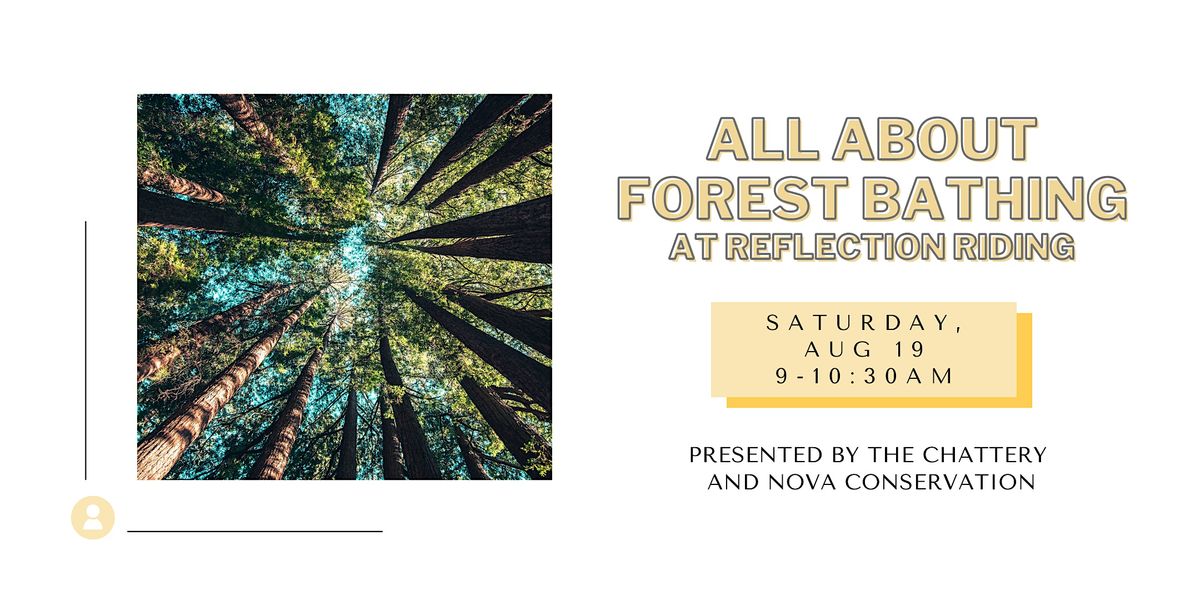 All About Forest Bathing at Reflection Riding - OUTDOOR CLASS ...