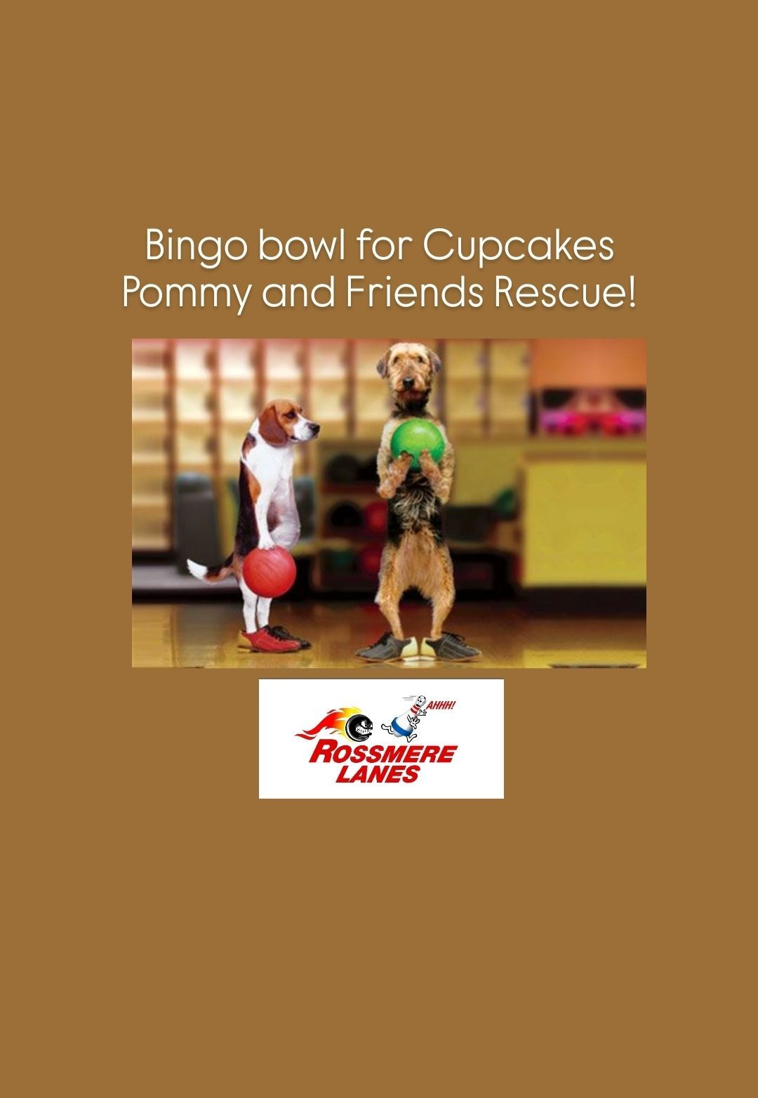 Bingo bowl in support of Cupcakes Pommy and Friends Rescue 