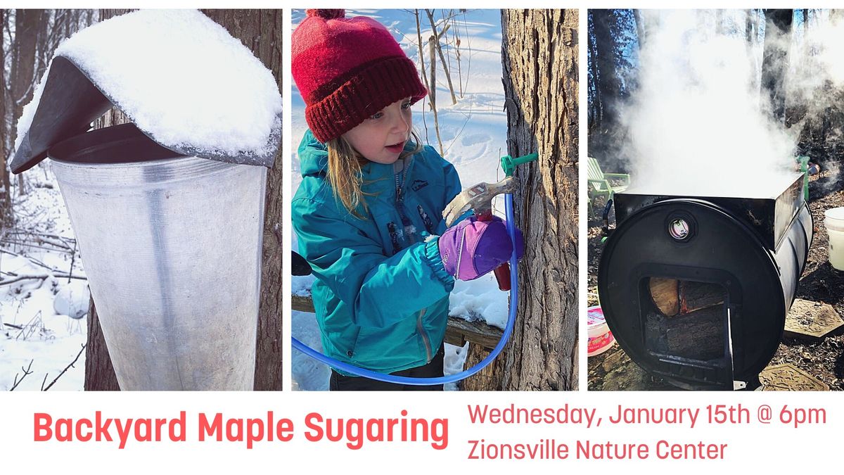 Introduction to Backyard Maple Sugaring