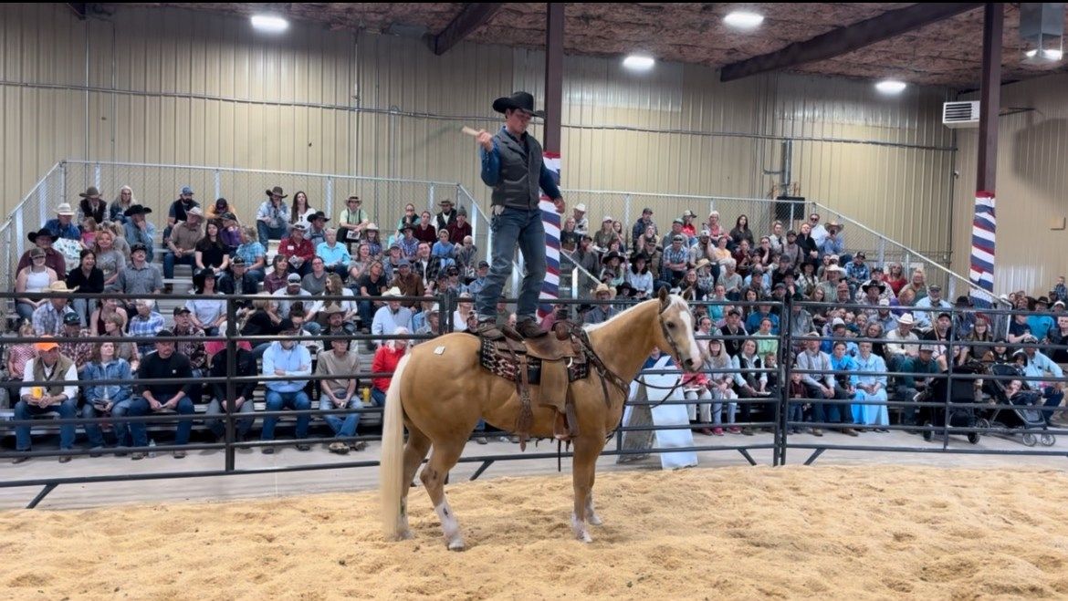 Colorado Horse Sale -  Montrose - Featuring Women of The West Consignors!