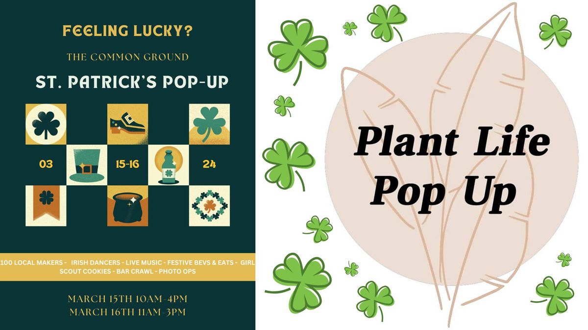 TCG St Paddy's Market x Plant Life Pop Up \ud83c\udf40\u2728\ud83e\udeb4\ud83c\udf31