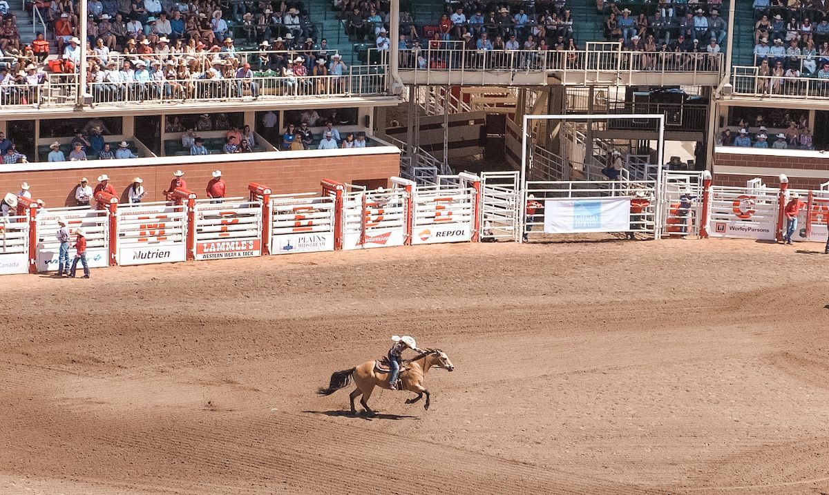 Calgary Stampede Rodeo - Day Show at GMC Stadium