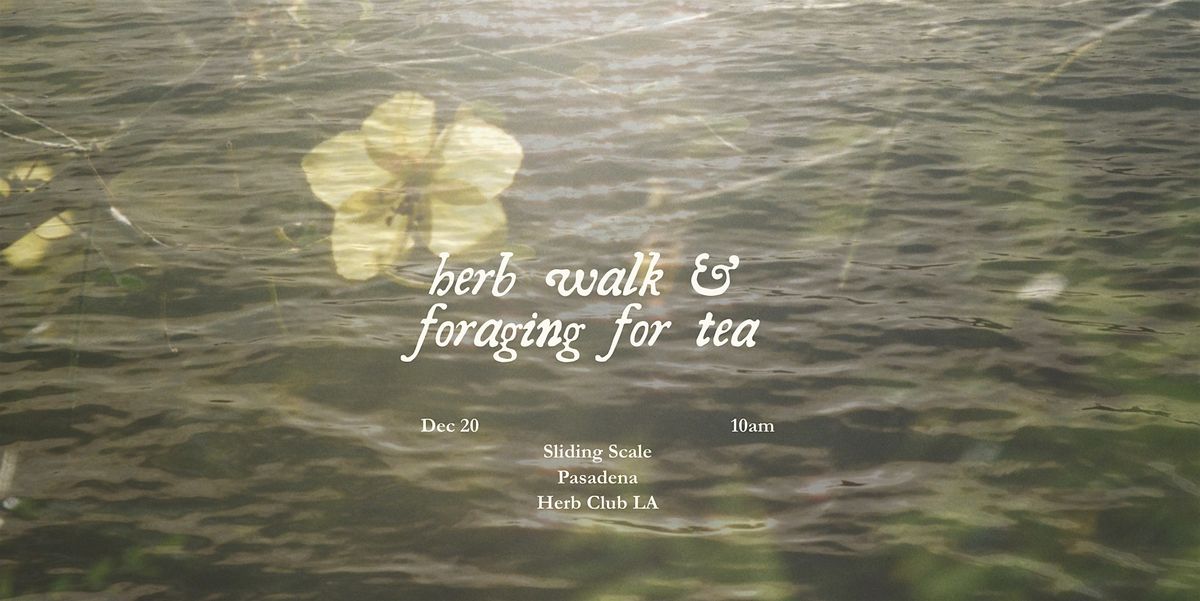 Herb Walk & Foraging for Tea