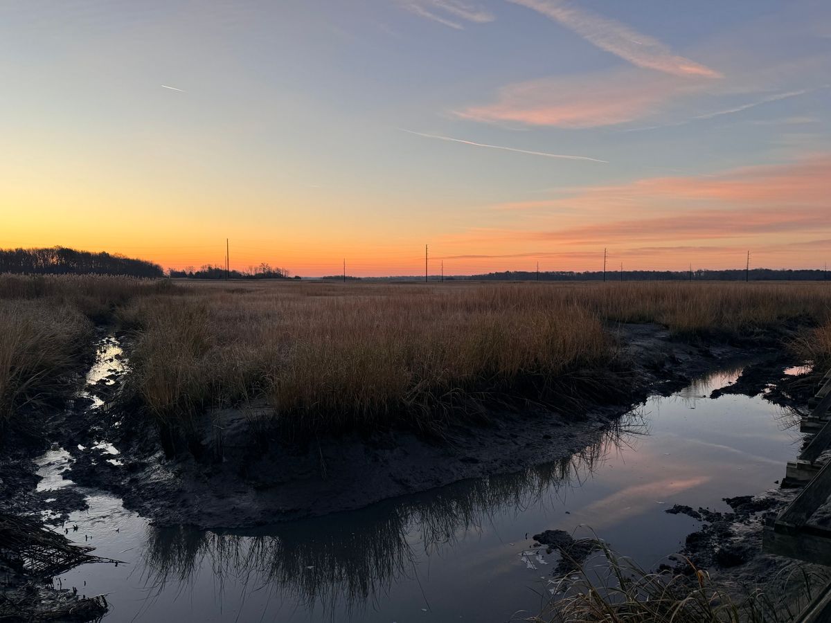 National Estuaries Week Hike