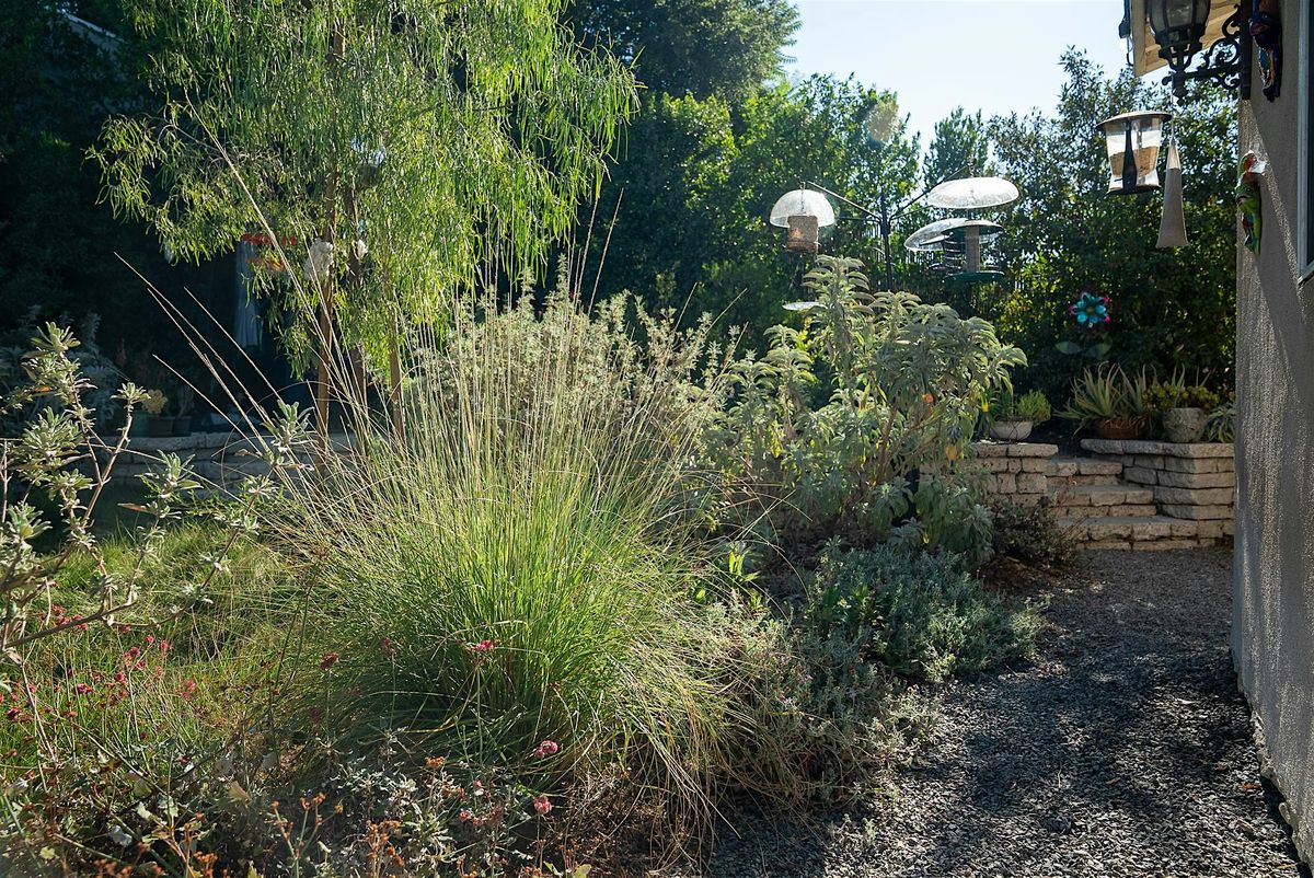 Fire-Resilient Gardens: A Maintenance Walk and Talk with Erik Blank