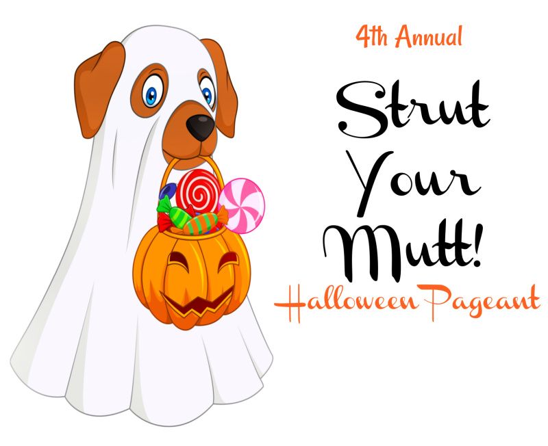 4th Annual Strut Your Mutt Halloween Pageant