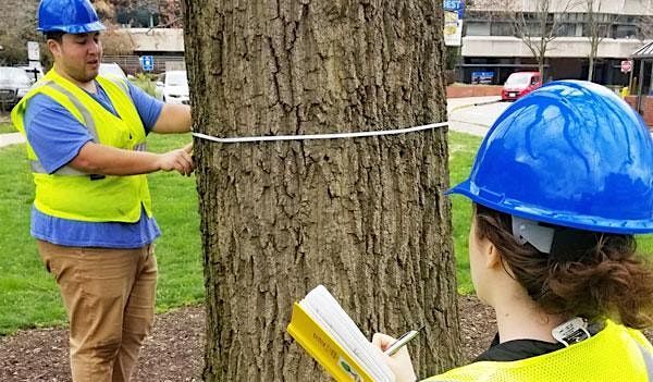 Volunteer Training: Tree Inventory of Yonkers